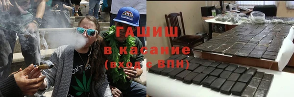 прущие грибы Бородино